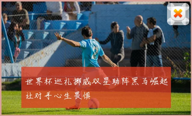 世界杯巡礼挪威双星助阵黑马崛起让对手心生畏惧