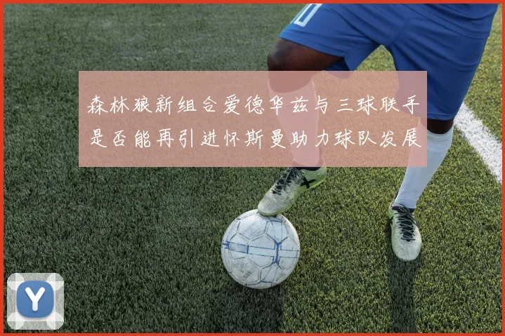 森林狼新组合爱德华兹与三球联手是否能再引进怀斯曼助力球队发展
